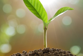 Changing Lives: CIM Employment by Altius